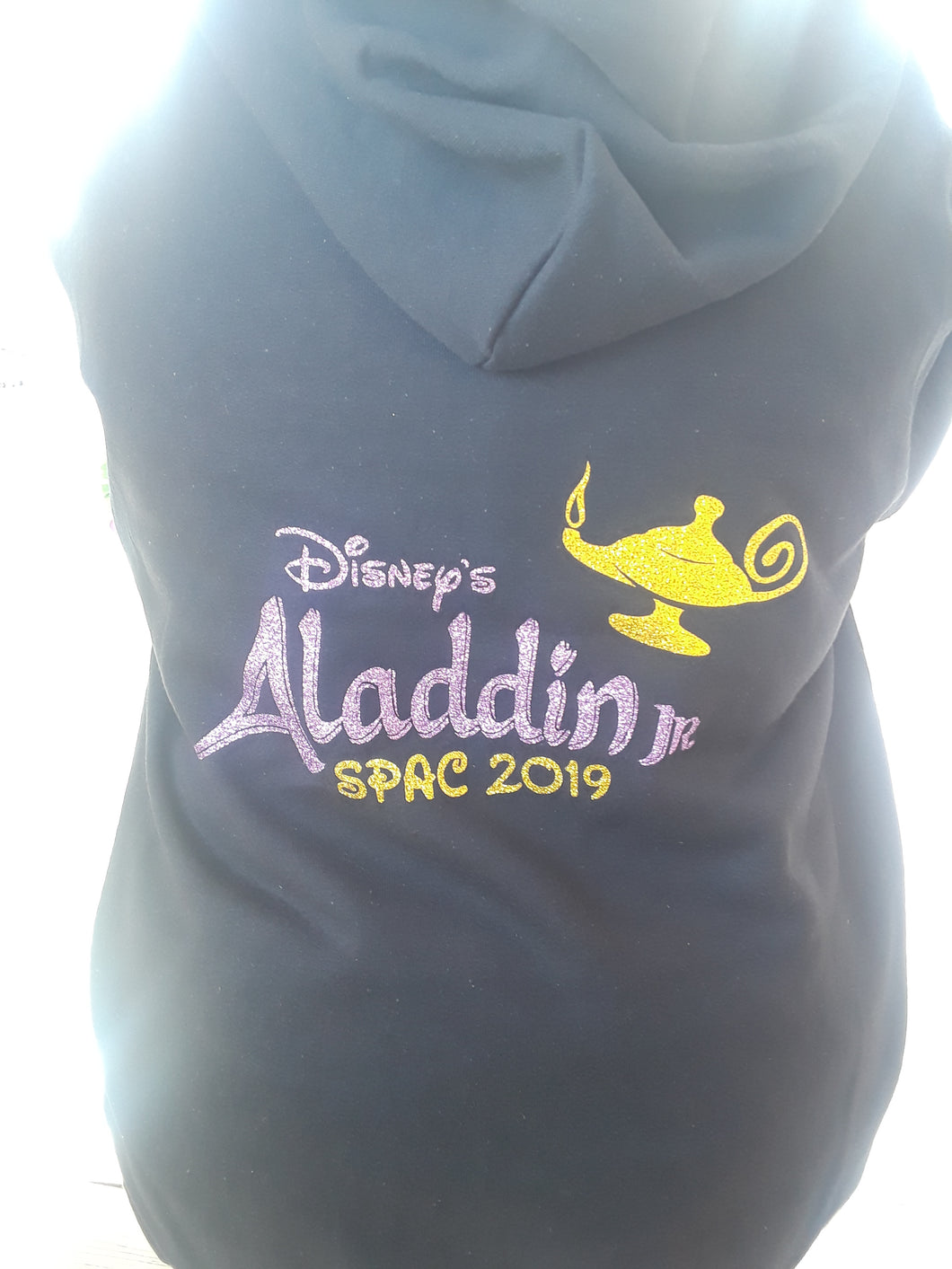 Aladdin Hoodie